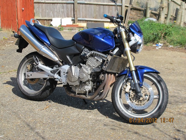 Hornet 600